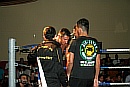 090619_5809_suvakci-simsir.jpg